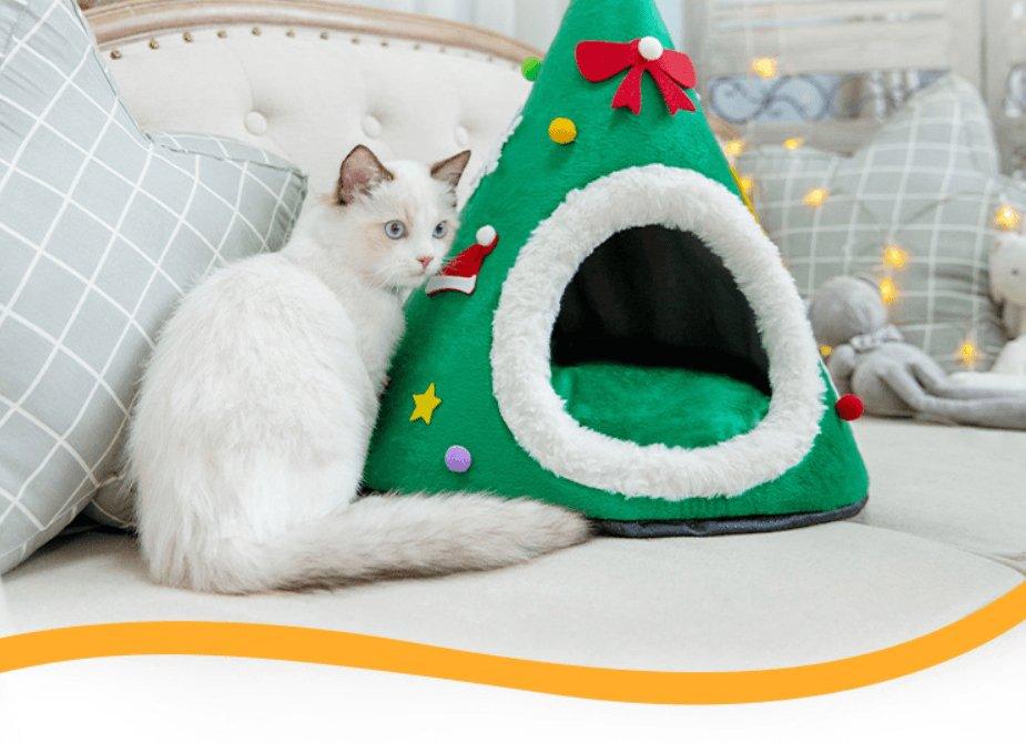 Christmas Cat Cozy House